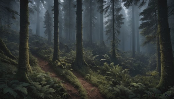 A landscape captured in a tranquil day