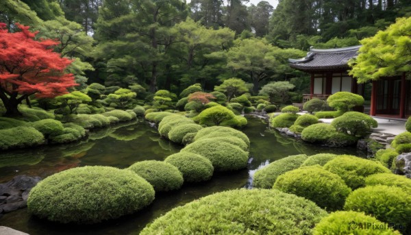 outdoors,day,water,tree,no humans,grass,building,nature,scenery,forest,rock,bush,architecture,east asian architecture,river,shrine,path,stone,stone lantern,pond