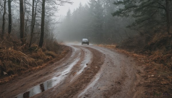 outdoors,water,tree,no humans,grass,ground vehicle,nature,scenery,motor vehicle,forest,reflection,rain,realistic,car,road,bare tree,river,puddle,sky,day,landscape,path,truck