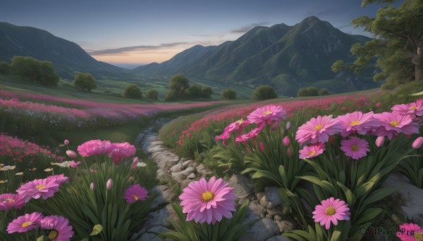 A landscape surrounded by a serene sunset day