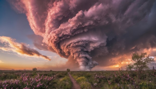 The charm of a unique subject in a bold sunset outdoors