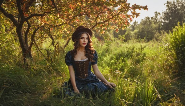 1girl,solo,long hair,breasts,looking at viewer,brown hair,hat,dress,cleavage,brown eyes,medium breasts,sitting,short sleeves,outdoors,day,puffy sleeves,tree,puffy short sleeves,lips,blue dress,grass,nature,scenery,corset,realistic,blue eyes,makeup,leaf,looking away,lipstick,red lips,field,bodice