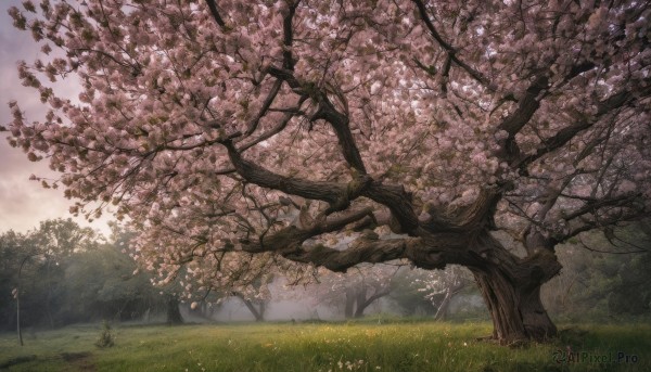 The allure of a unique subject in a inviting outdoors