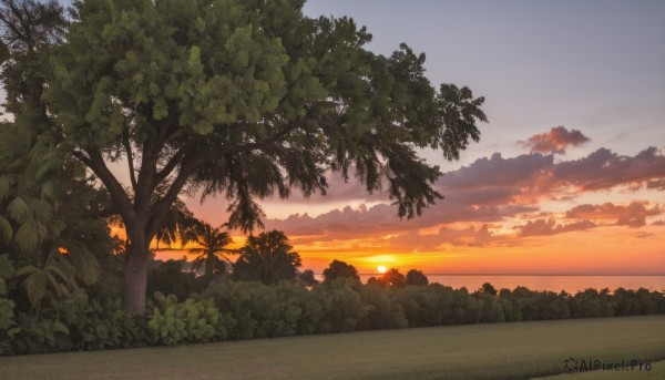 The allure of a landscape in a dynamic sunset outdoors