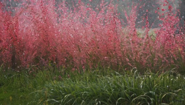 A unique subject captured in a enchanting day