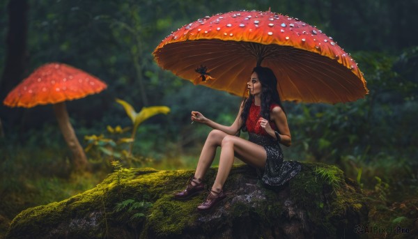 1girl,solo,long hair,black hair,dress,holding,bare shoulders,jewelry,sitting,braid,flower,outdoors,shoes,sleeveless,blurry,black dress,tree,lips,depth of field,blurry background,umbrella,grass,bug,nature,forest,minigirl,realistic,nose,mushroom,moss,skirt,bracelet,tattoo,scenery