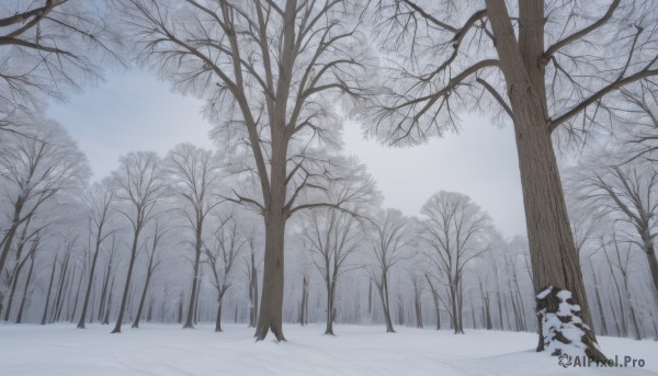 1girl,solo,hat,tail,outdoors,sky,day,tree,no humans,nature,scenery,pom pom (clothes),snow,forest,walking,winter,bare tree,footprints,landscape,fog,grey sky