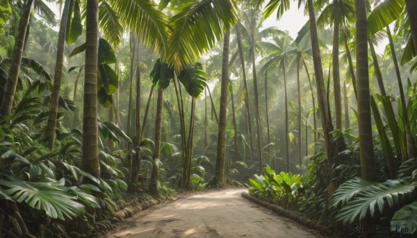 outdoors,day,tree,no humans,leaf,beach,sunlight,grass,plant,nature,scenery,forest,light rays,sand,palm tree,bush,bamboo,dappled sunlight,road,path