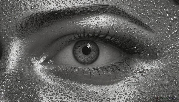 1girl,solo,looking at viewer,monochrome,greyscale,water,eyelashes,close-up,1other,reflection,ambiguous gender,horror (theme),eye focus,no humans,fish,water drop,one-eyed