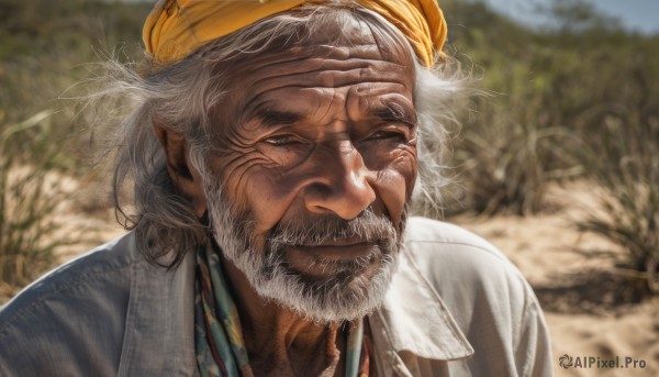 solo,looking at viewer,smile,shirt,1boy,hat,closed mouth,upper body,white hair,grey hair,male focus,outdoors,day,collared shirt,blurry,tree,blurry background,facial hair,mouth hold,portrait,beard,realistic,mustache,manly,old,old man,wrinkled skin,white shirt,pointy ears,grey eyes,scar