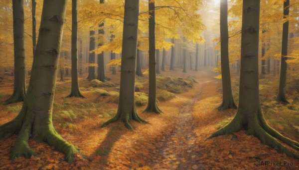 The beauty of a unique subject set in a calm day