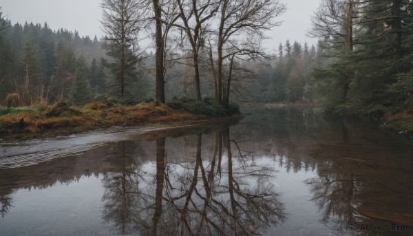 outdoors,sky,day,cloud,water,tree,no humans,grass,nature,scenery,snow,forest,reflection,mountain,road,winter,bare tree,river,landscape,lake,fog,grey sky,reflective water