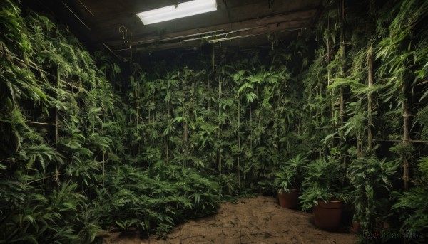 The wonder of a indoors in a peaceful day