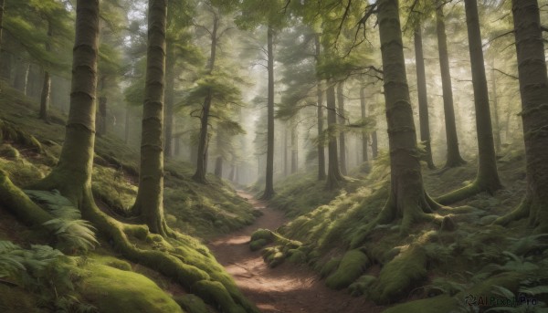A charming day featuring a landscape