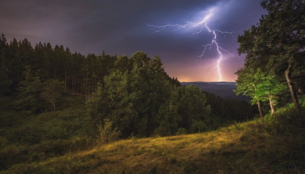 The elegance of a lightning in a ethereal sunset outdoors