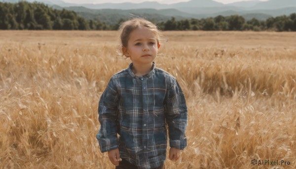 solo,looking at viewer,short hair,blue eyes,blonde hair,brown hair,shirt,long sleeves,1boy,closed mouth,standing,male focus,outdoors,day,collared shirt,pants,blurry,plaid,blurry background,blue shirt,child,nature,realistic,male child,field,plaid shirt,sky,tree,grass