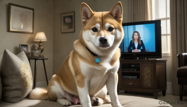 HQ,1girl,solo,looking at viewer,brown hair,jewelry,sitting,jacket,closed eyes,indoors,necklace,collar,cup,pillow,window,bed,animal,chair,formal,table,cat,suit,curtains,dog,realistic,clock,lamp,photo (object),bedroom,television,animal focus,monitor,picture frame,painting (object),picture (object),office,shiba inu,portrait (object),long hair,shirt,long sleeves,brown eyes,white shirt,black eyes,no humans,desk,computer,armchair,office chair,desk lamp