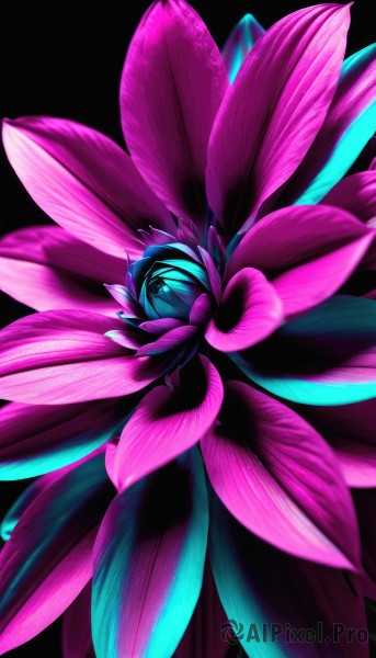 A graceful view of a abstract in background