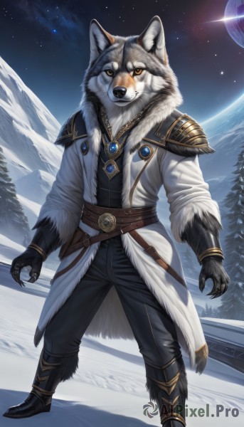 solo,looking at viewer,gloves,1boy,animal ears,jewelry,standing,jacket,full body,yellow eyes,male focus,boots,outdoors,open clothes,sky,belt,pants,hood,necklace,black footwear,armor,tree,coat,fur trim,night,black pants,moon,shoulder armor,gem,star (sky),night sky,claws,furry,snow,starry sky,colored sclera,pauldrons,snowing,mountain,white coat,winter clothes,furry male,white fur,winter,wolf,black fur,pine tree,long sleeves,closed mouth,tail,teeth,orange eyes,wolf ears,brooch,gauntlets,sheath,pendant,brown belt,body fur,planet,mountainous horizon,earth (planet),wolf boy