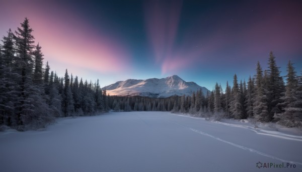 outdoors,sky,tree,no humans,night,star (sky),nature,night sky,scenery,snow,forest,starry sky,mountain,road,winter,bare tree,landscape,mountainous horizon,purple sky,pine tree,aurora,cloud,water,lake