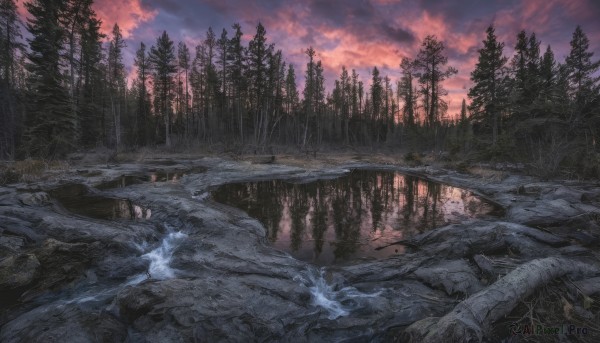 A landscape caught in a vivid snowy outdoors