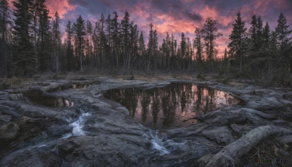 outdoors,sky,cloud,water,tree,no humans,cloudy sky,nature,scenery,snow,forest,reflection,sunset,rock,mountain,winter,bare tree,river,landscape,pine tree,grass,evening,lake,puddle,reflective water,stream