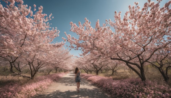 1girl, solo, long hair, skirt, brown hair, shirt, outdoors, sky, day, bag, from behind, tree, blue sky, shadow, cherry blossoms, scenery, walking, road, wide shot, path