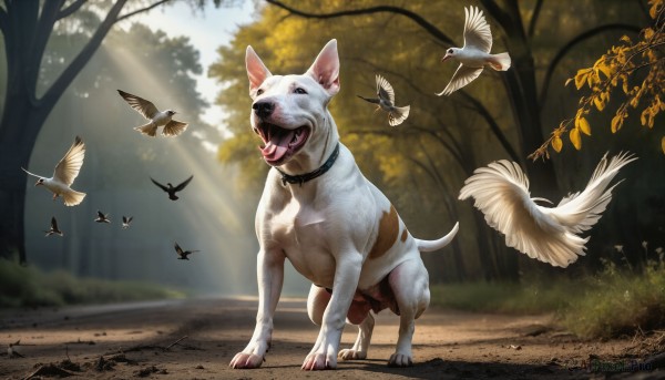 A unique view of a dog in day