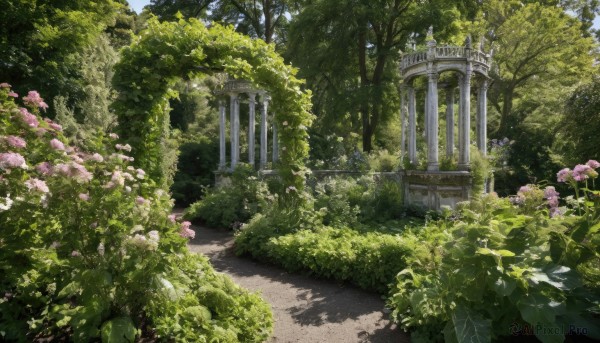 A stunning garden captured in day