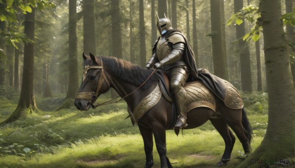 solo,1boy,weapon,male focus,boots,outdoors,day,cape,armor,tree,animal,sunlight,helmet,grass,shoulder armor,gauntlets,nature,scenery,1other,forest,pauldrons,breastplate,black cape,armored boots,riding,greaves,horse,knight,full armor,ambiguous gender,horseback riding,helm,plate armor,reins,saddle,holding,fantasy