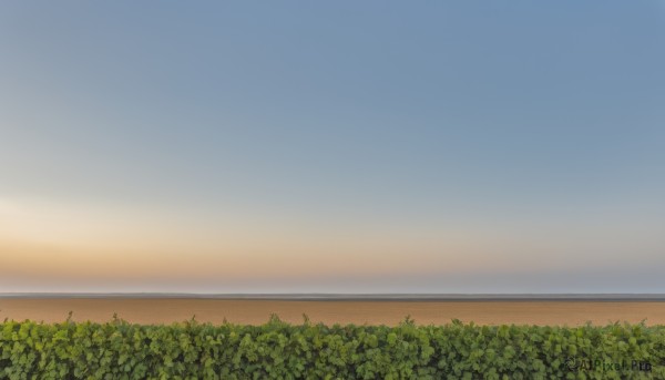 A unique subject portrayed in a vivid sunset day