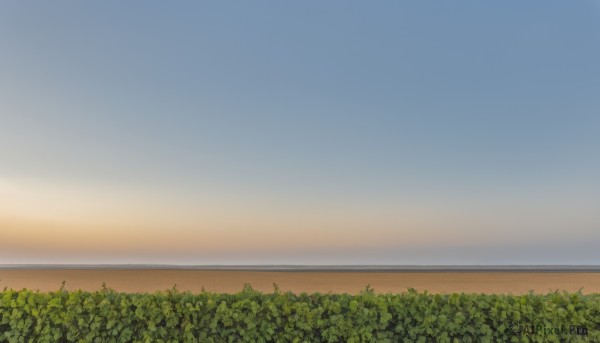 outdoors,sky,cloud,water,tree,blue sky,no humans,ocean,plant,nature,scenery,forest,sunset,horizon,bush,gradient sky,day