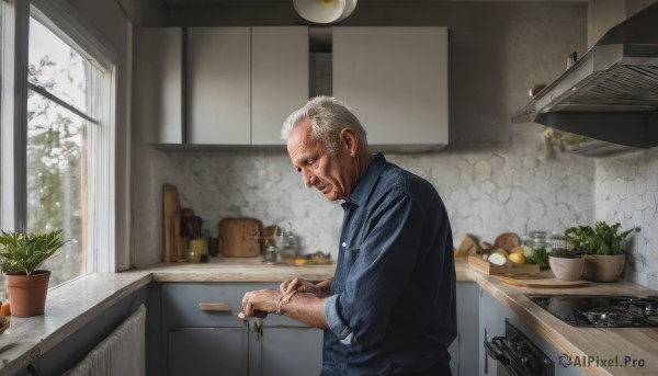 solo,short hair,shirt,1boy,holding,standing,upper body,white hair,grey hair,male focus,food,day,collared shirt,indoors,apron,from side,window,profile,facial hair,blue shirt,knife,plant,sleeves rolled up,realistic,basket,holding knife,potted plant,old,old man,cooking,kitchen,vegetable,frying pan,sink,kitchen knife,wrinkled skin,cutting board,onion,tree,fruit,looking down,table,bottle,carrot,sleeves pushed up,counter,faucet,stove,potato