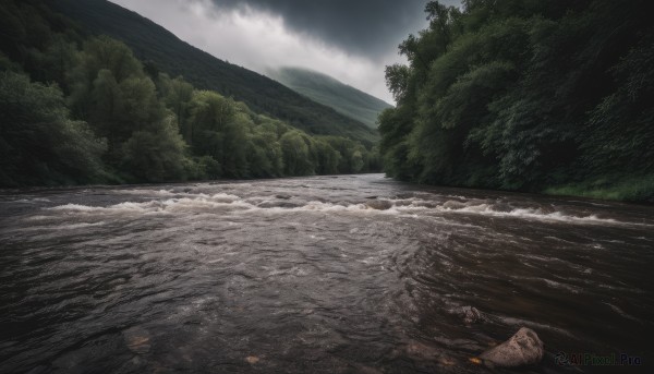 A landscape portrayed in a refreshing day