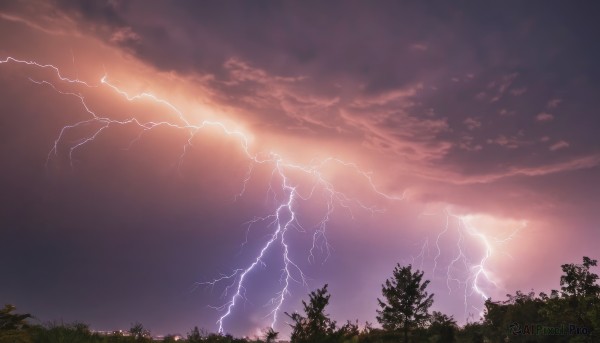 outdoors,sky,cloud,tree,no humans,cloudy sky,grass,nature,scenery,forest,sunset,electricity,bush,lightning,plant