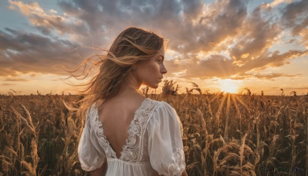 1girl,solo,long hair,blonde hair,brown hair,dress,jewelry,upper body,short sleeves,earrings,outdoors,sky,puffy sleeves,looking back,cloud,dark skin,from behind,white dress,puffy short sleeves,lips,profile,back,cloudy sky,wind,scenery,sunset,backless outfit,realistic,backless dress,field,blue eyes,flower,floating hair,sunlight