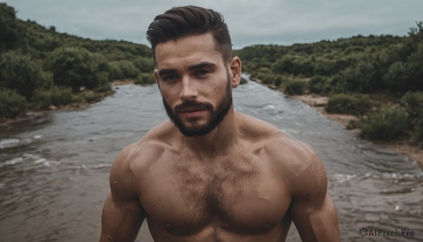 solo,looking at viewer,short hair,brown hair,black hair,1boy,closed mouth,nipples,upper body,male focus,nude,outdoors,blurry,muscular,blurry background,facial hair,scar,abs,pectorals,muscular male,bara,beard,large pectorals,topless male,mature male,realistic,mustache,manly,hair slicked back,chest hair,photo background,arm hair,hairy,sky,day,water,undercut