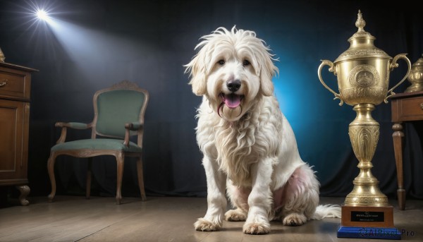 The timeless beauty of a dog in a bold sunlight