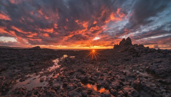 A tranquil sunset outdoors showcasing a unique subject