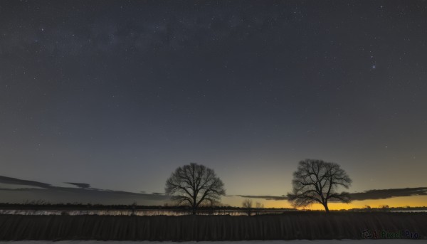 outdoors,sky,cloud,tree,no humans,night,grass,star (sky),nature,night sky,scenery,starry sky,sunset,field,bare tree,gradient sky,monochrome,greyscale,horizon