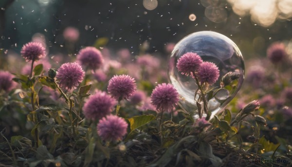 The elegance of a unique subject in a ethereal outdoors
