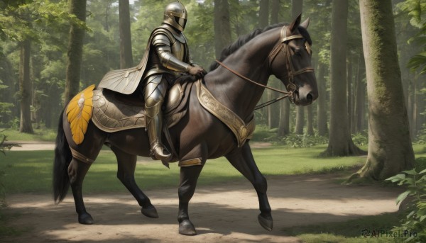 solo,gloves,1boy,male focus,boots,outdoors,day,cape,armor,tree,animal,sunlight,helmet,grass,shoulder armor,gauntlets,nature,scenery,1other,forest,pauldrons,breastplate,armored boots,riding,greaves,horse,knight,full armor,ambiguous gender,path,horseback riding,plate armor,reins,saddle,holding,weapon,from side,plant,shield,fantasy,bush,white cape,helm