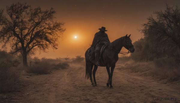 solo,gloves,1boy,hat,weapon,male focus,boots,outdoors,sky,cape,tree,night,animal,grass,nature,scenery,cloak,1other,forest,sunset,sun,black cape,riding,horse,ambiguous gender,path,horseback riding,reins,saddle,from behind,black footwear,no humans,black headwear,star (sky),top hat,bare tree