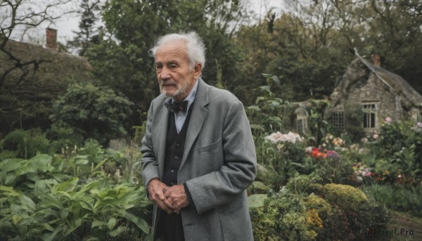 solo,looking at viewer,shirt,long sleeves,1boy,bow,closed mouth,standing,jacket,white shirt,flower,white hair,male focus,outdoors,day,collared shirt,bowtie,vest,tree,black bow,facial hair,formal,own hands together,suit,plant,building,black bowtie,realistic,grey jacket,mustache,manly,house,old,old man,traditional bowtie,cane,photo background,garden,smile,jewelry,open clothes,leaf,black pants,ring,nature,beard,black vest,wedding ring,waistcoat,statue,grey vest,grey coat,tuxedo