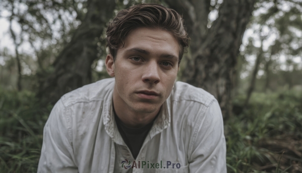 solo,looking at viewer,short hair,brown hair,shirt,1boy,brown eyes,closed mouth,jacket,white shirt,upper body,male focus,outdoors,parted lips,blurry,black eyes,blurry background,facial hair,grass,nature,realistic,stubble,photo background,black hair,flower,day,tree,lips,black shirt,depth of field,white jacket,portrait,undershirt