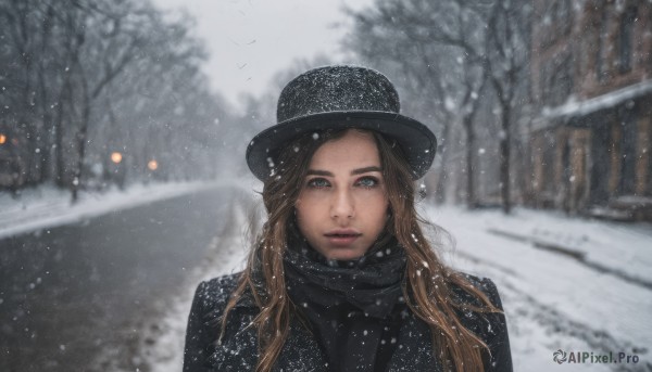 1girl,solo,long hair,looking at viewer,blue eyes,brown hair,hat,upper body,outdoors,parted lips,scarf,blurry,tree,lips,coat,black headwear,blurry background,nature,snow,forest,freckles,snowing,realistic,winter,bare tree,brown eyes,jacket,day,depth of field,building,black coat,nose,winter clothes,road,black scarf,street,grey sky