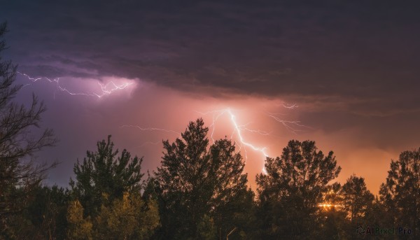 outdoors,sky,cloud,tree,no humans,cloudy sky,nature,scenery,forest,sunset,electricity,bare tree,lightning