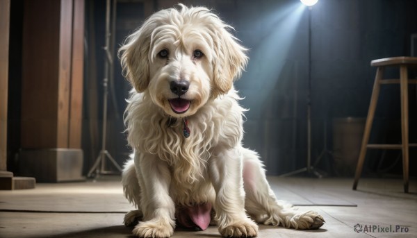 HQ,solo,open mouth,brown eyes,jewelry,sitting,full body,tongue,indoors,tongue out,black eyes,collar,no humans,animal,chair,brooch,gem,dog,light rays,realistic,animal focus,looking at viewer,signature,blurry,pokemon (creature),fangs,pendant,tiles,light,tile floor,stool,animal collar,spotlight,ceiling light