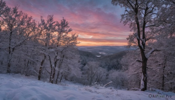 outdoors,sky,cloud,tree,no humans,cloudy sky,nature,scenery,snow,forest,sunset,mountain,winter,bare tree,landscape,sunrise,bird,horizon,gradient sky,pine tree