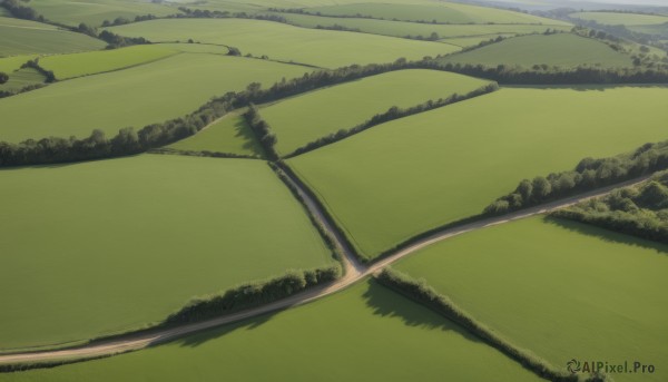 The elegance of a landscape in a idyllic day
